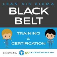 GoLeanSixSigma.com - black belt training