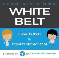 GoLeanSixSigma.com - white belt training