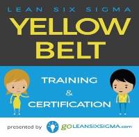 GoLeanSixSigma.com - yellow belt training